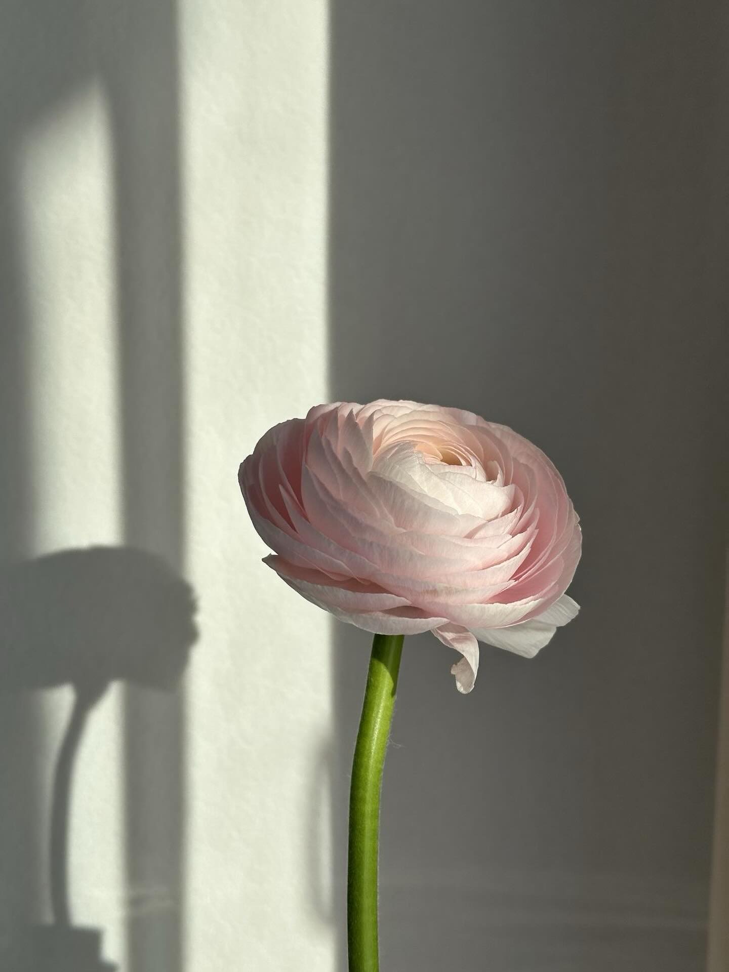 blossom_boutique_gdansk