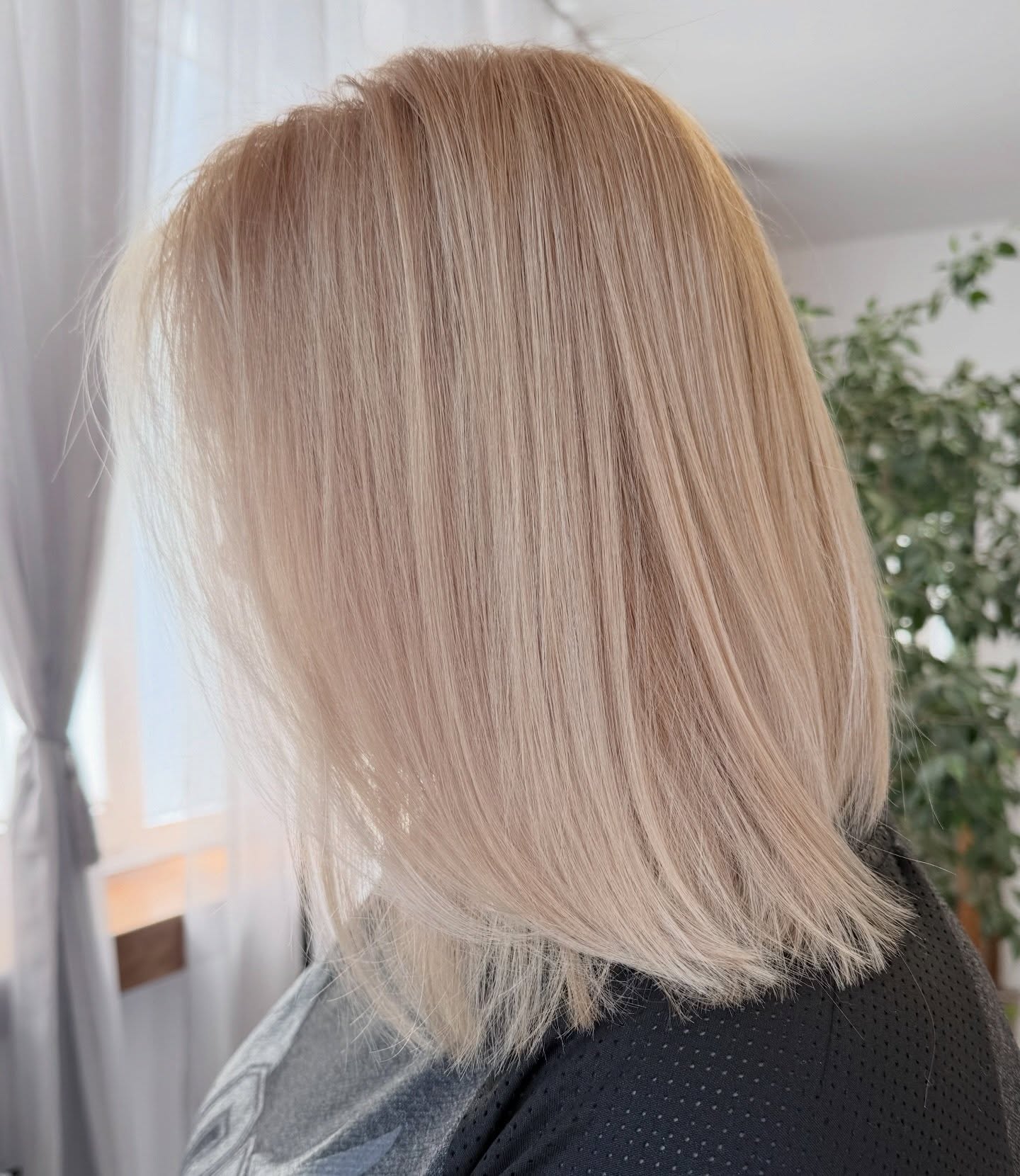 luna_studiosopot