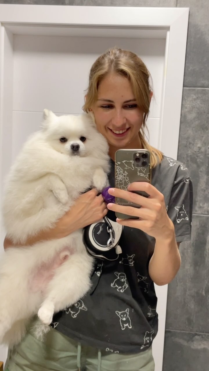 groomer.gdansk