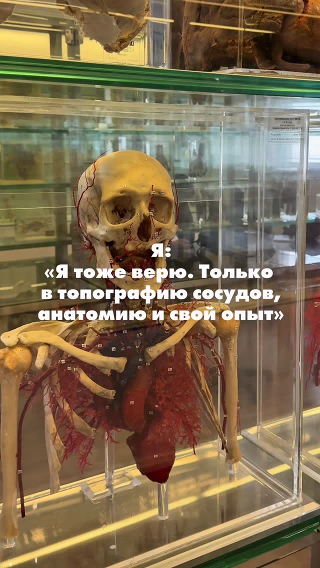 dr.goleneva