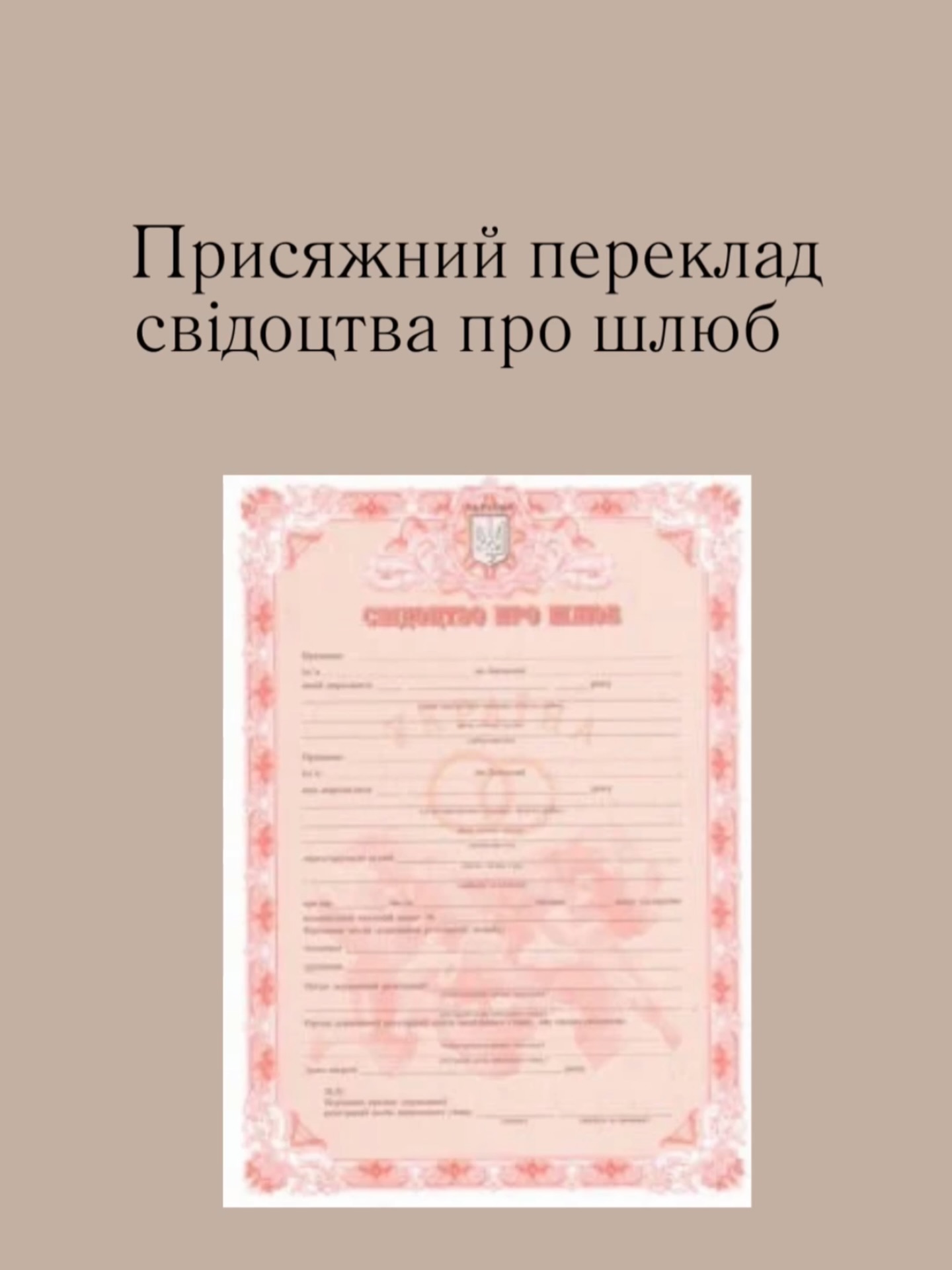 zespol.tlumaczy