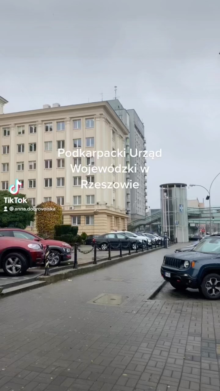 zespol.tlumaczy