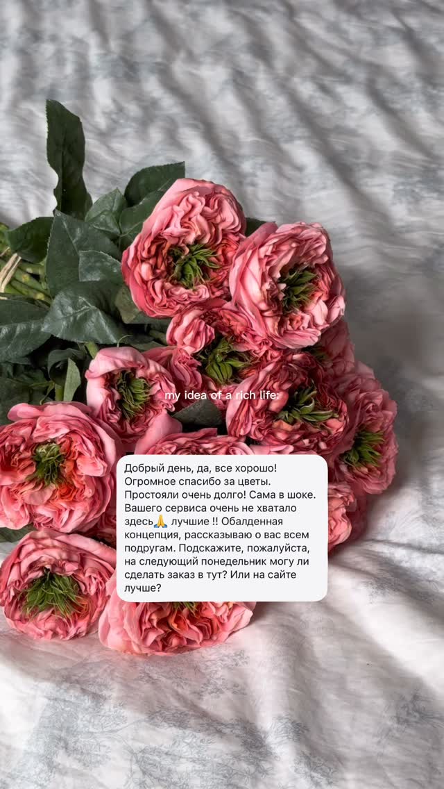 dailyflowers.gd