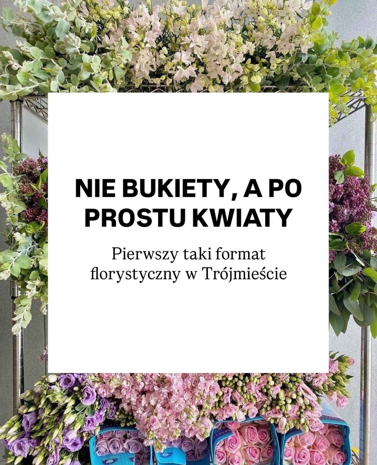dailyflowers.gd