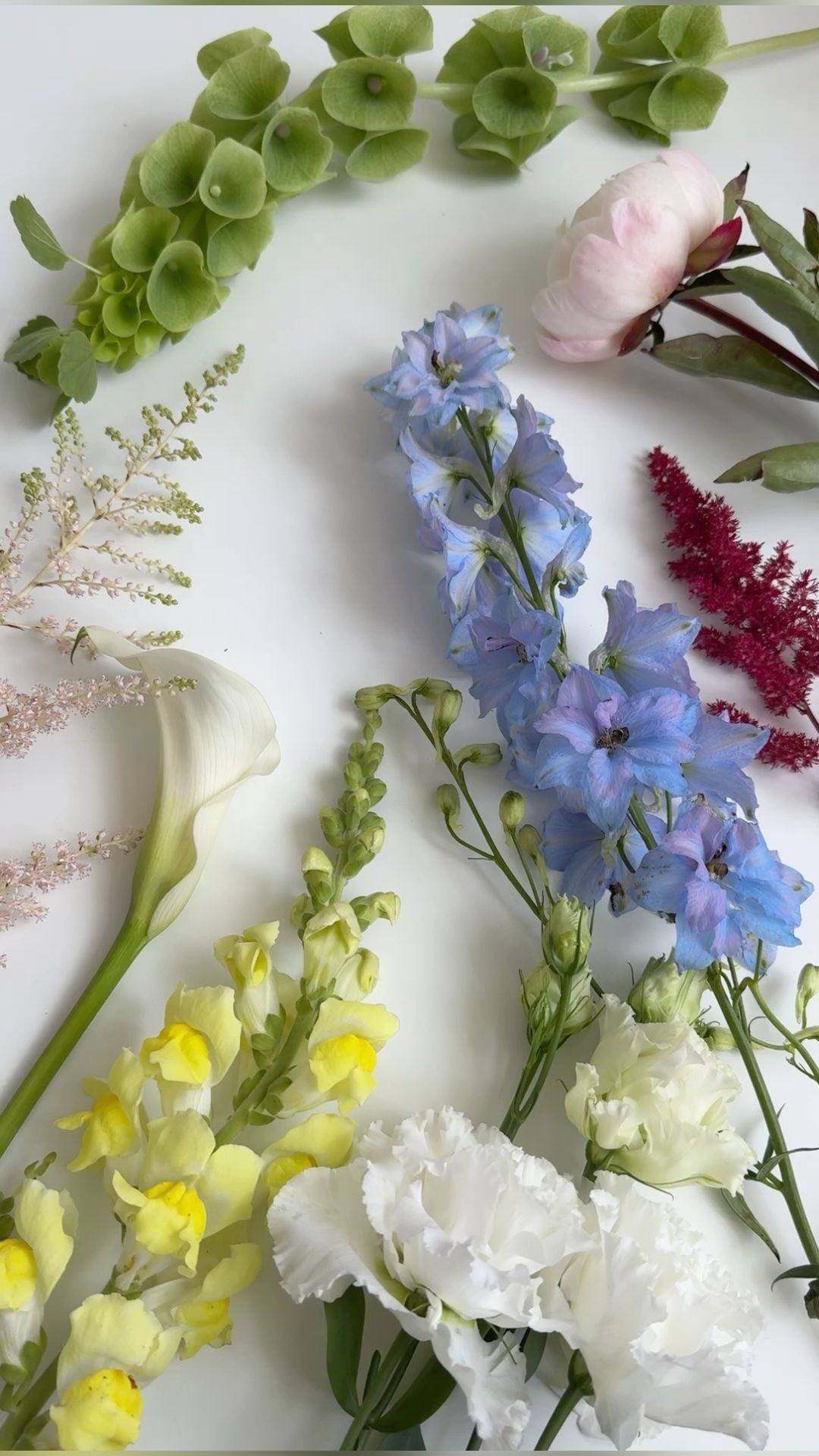 dailyflowers.gd