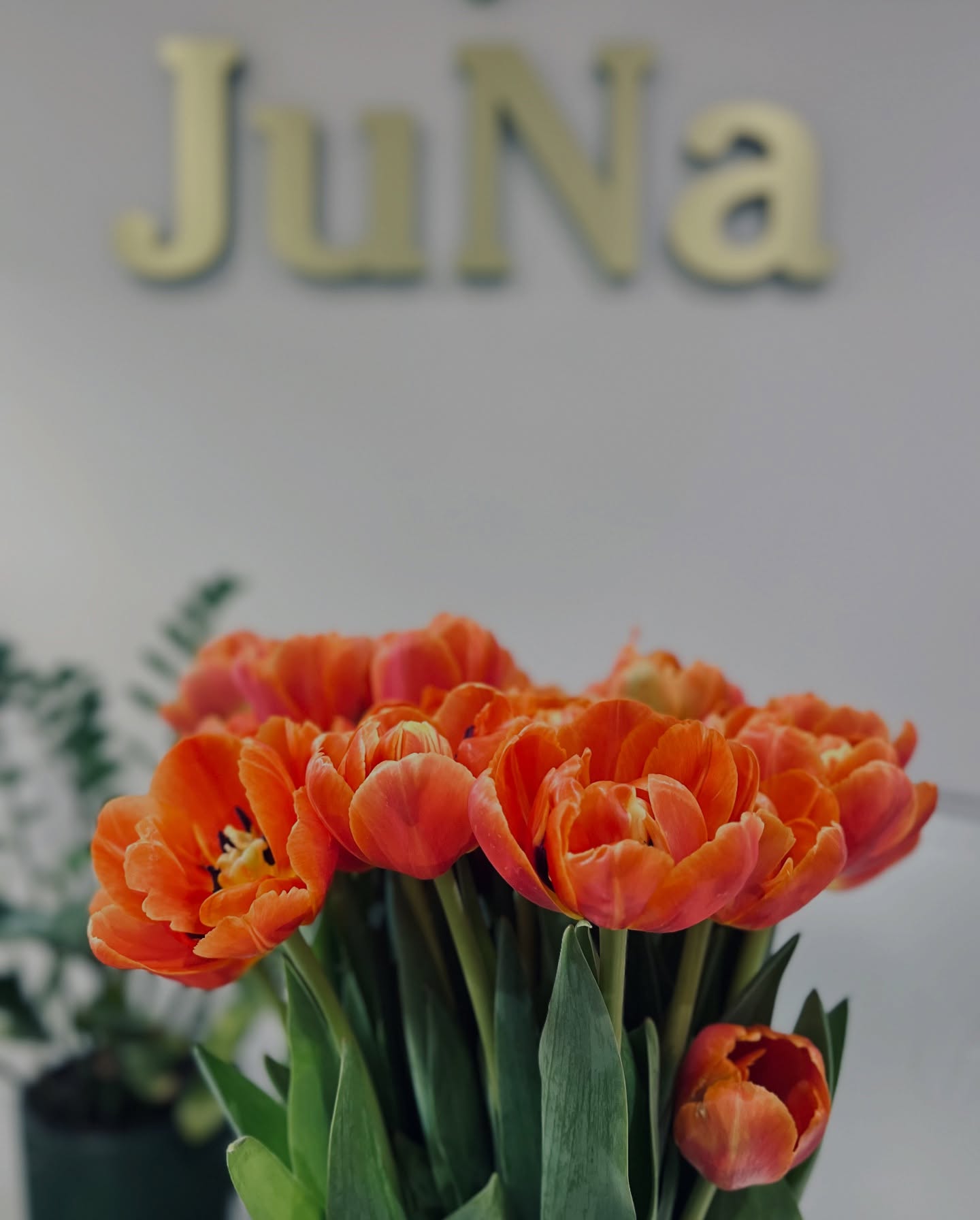 juna_poland