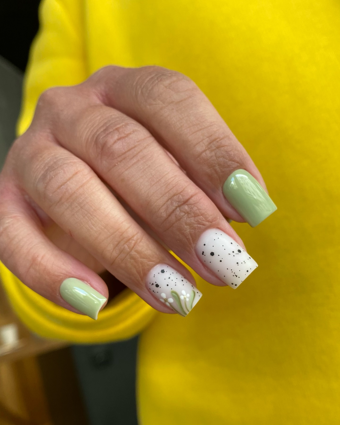 wiewiorka_studio