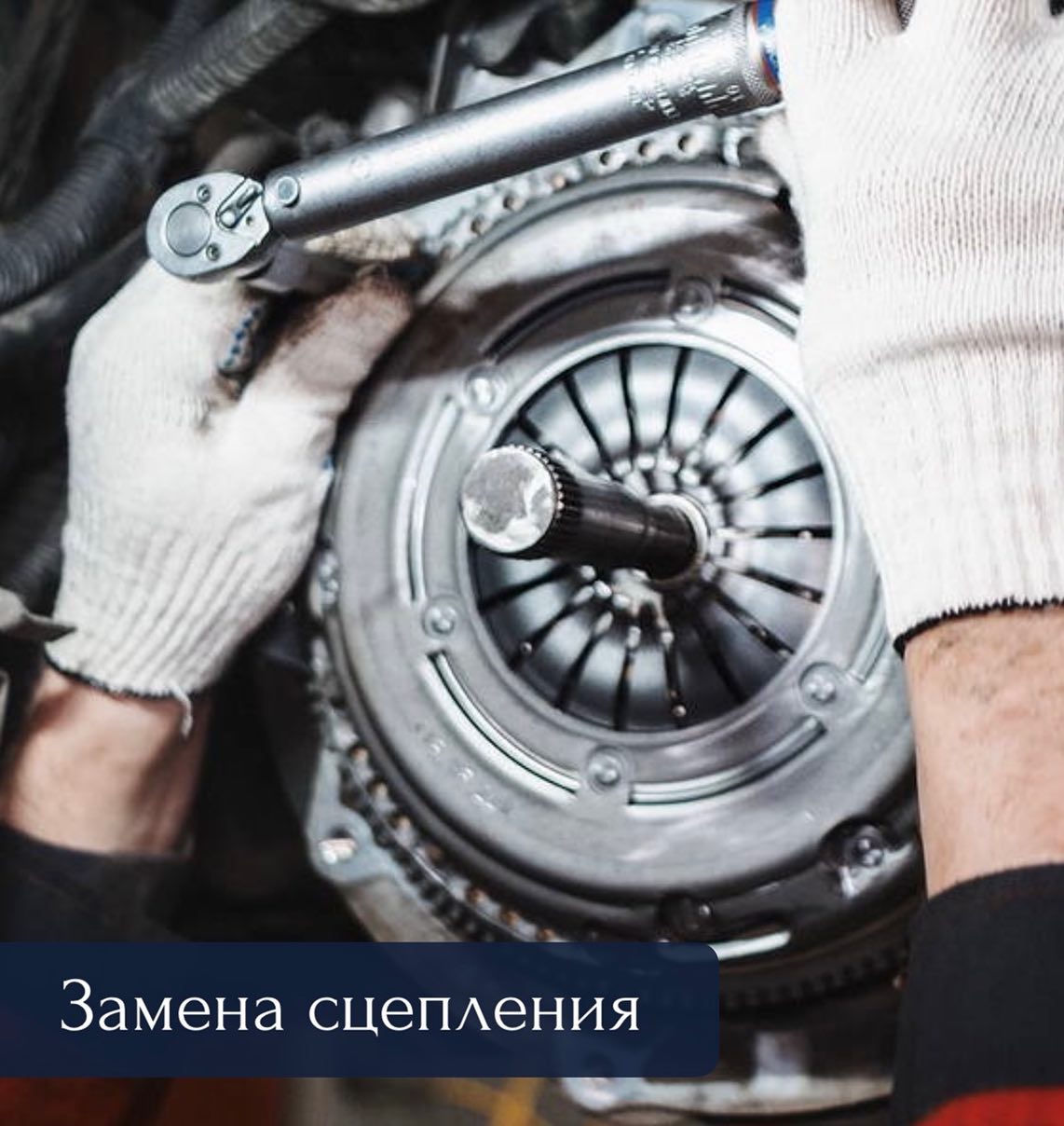 widely_auto