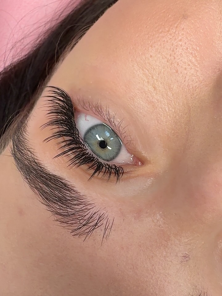 shutko_brows