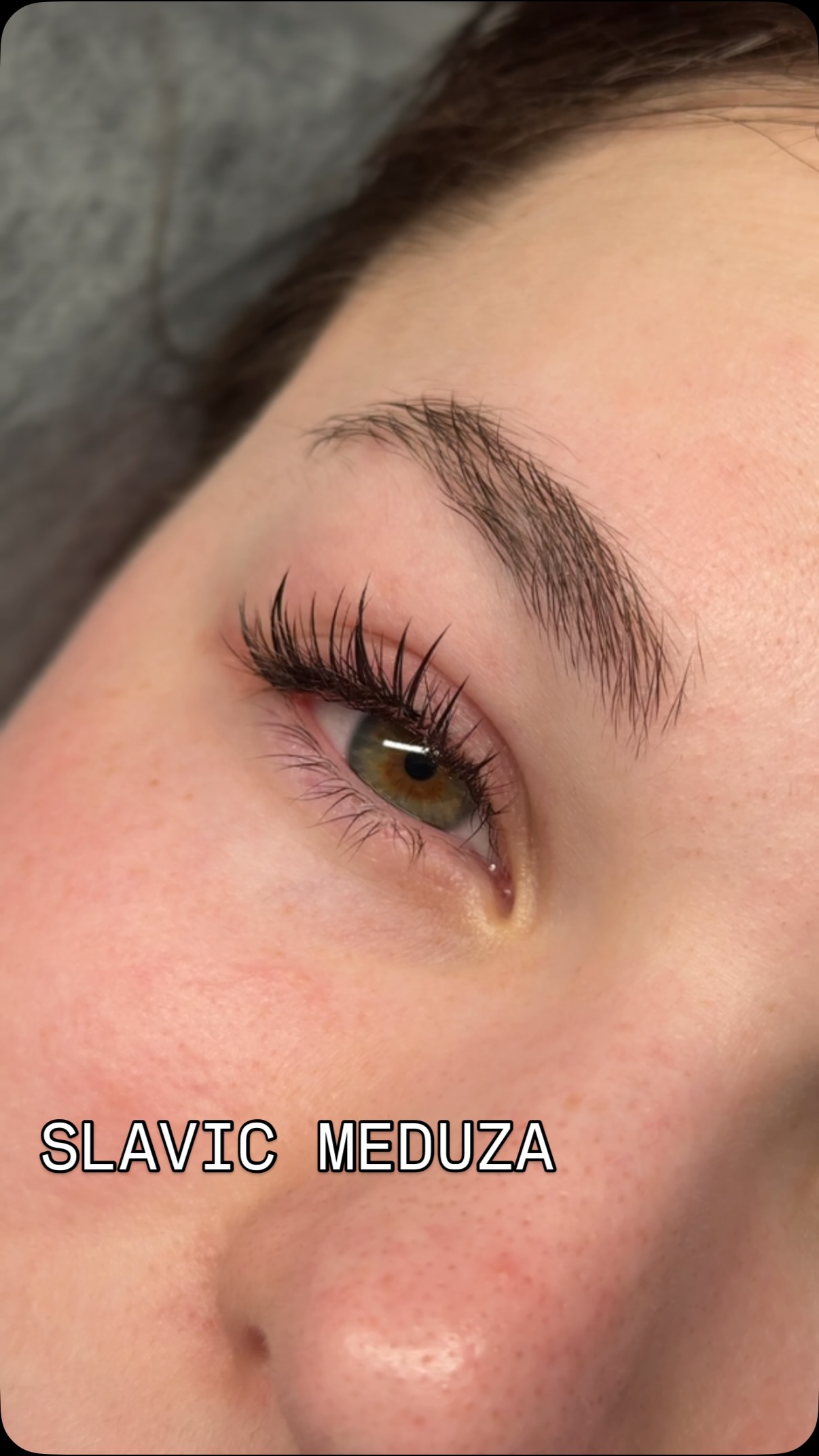 shutko_brows