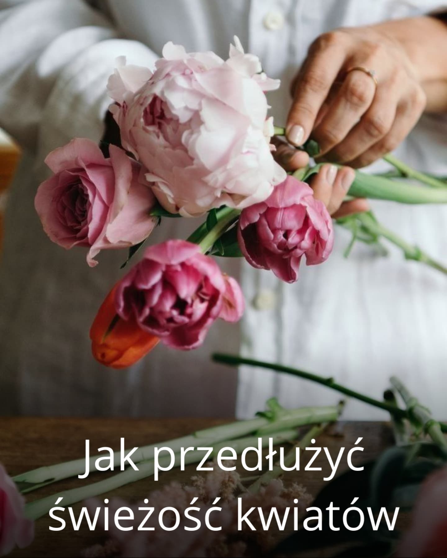 adf_gdansk