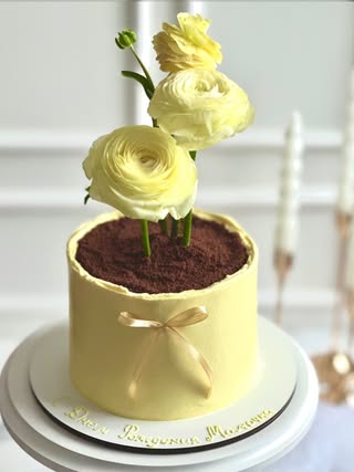 cake.and.co_gd