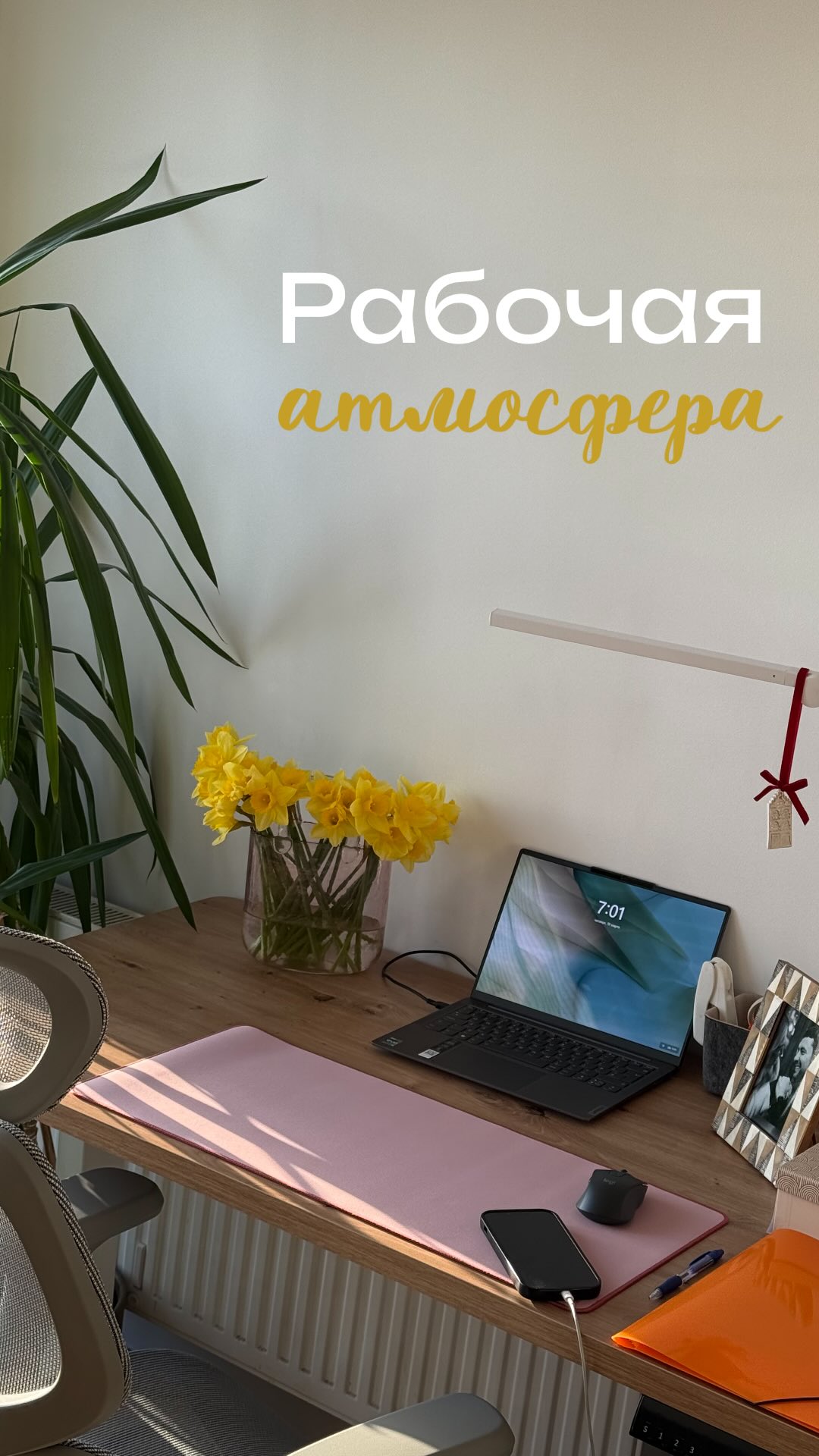 plinda_anastazja