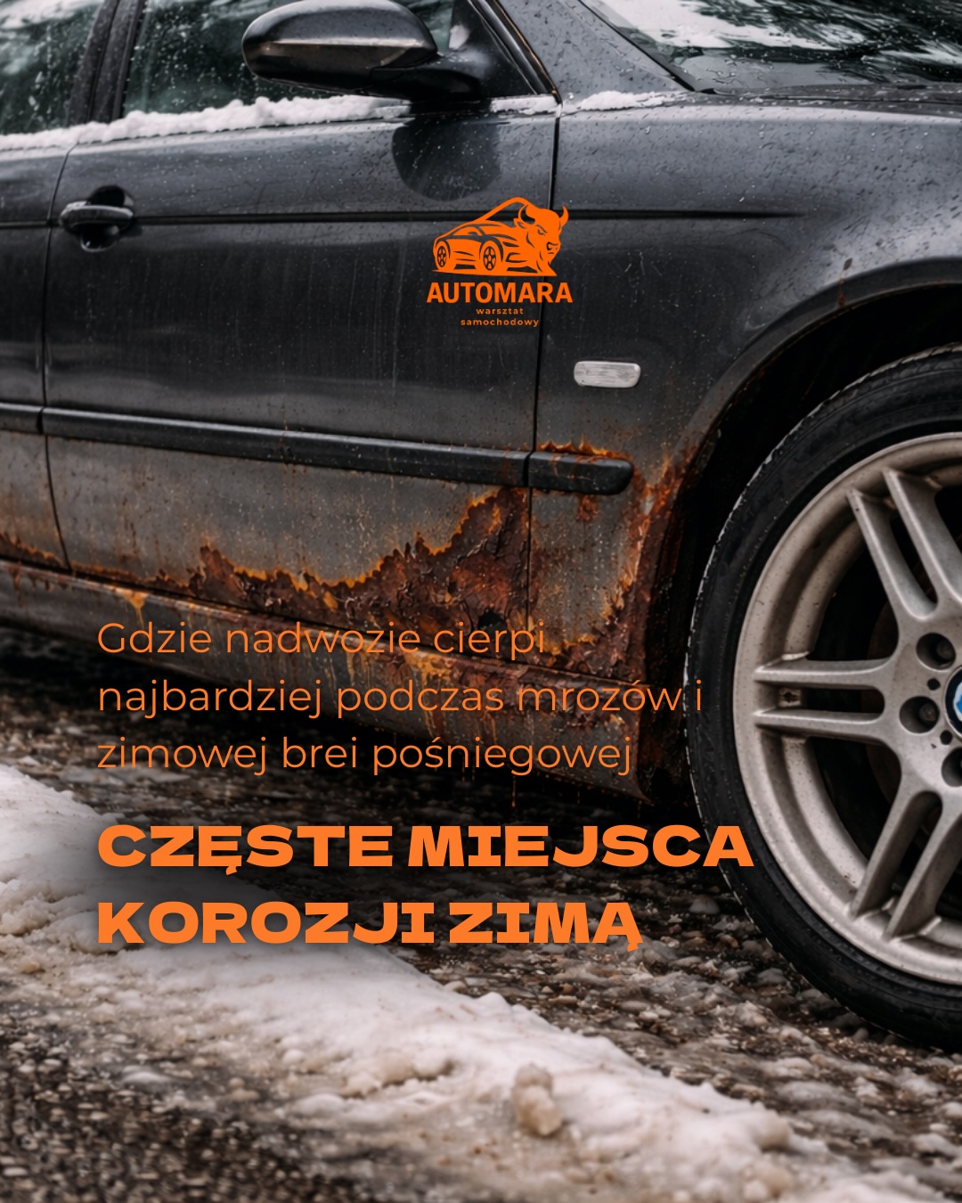 automara.pl