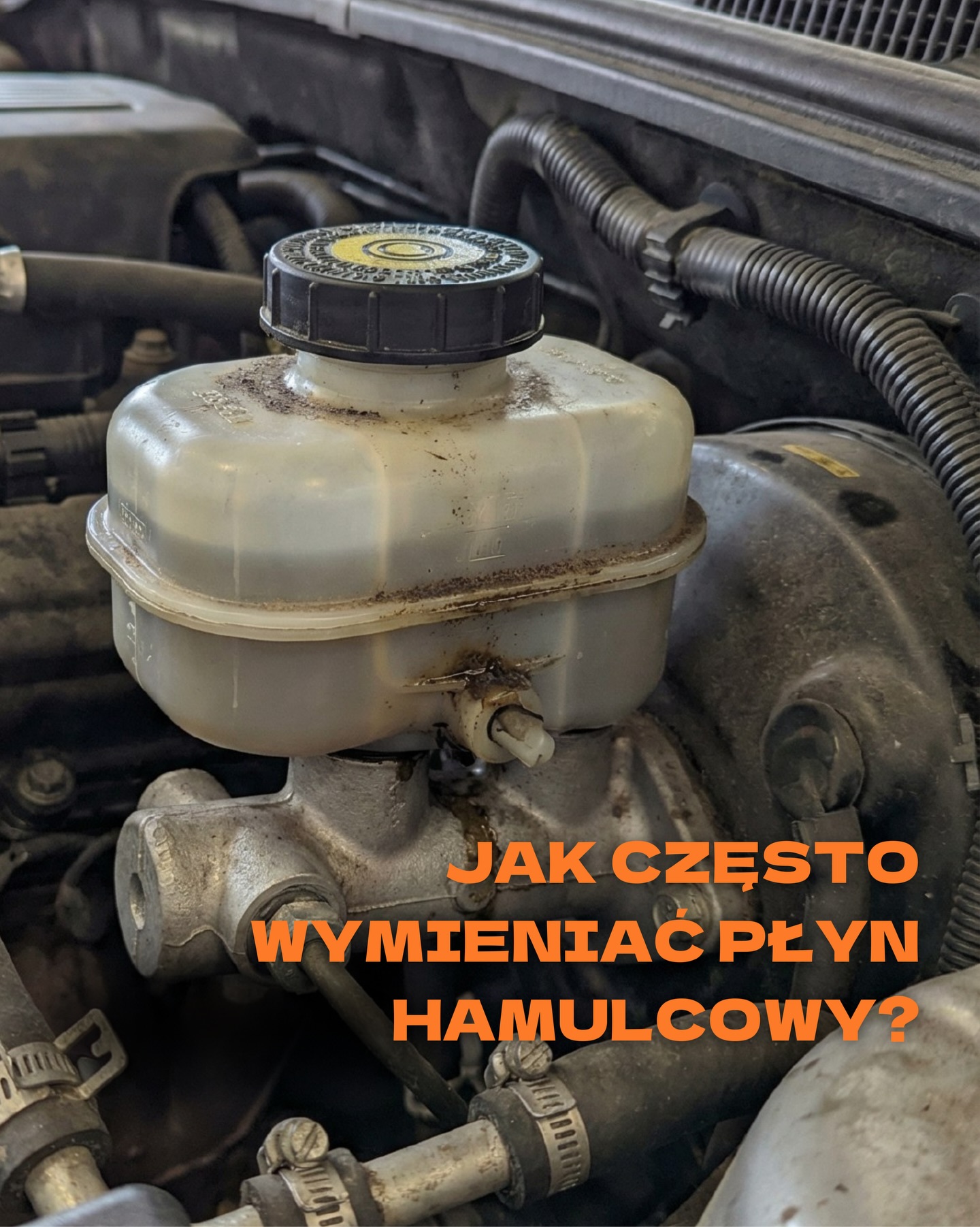 automara.pl