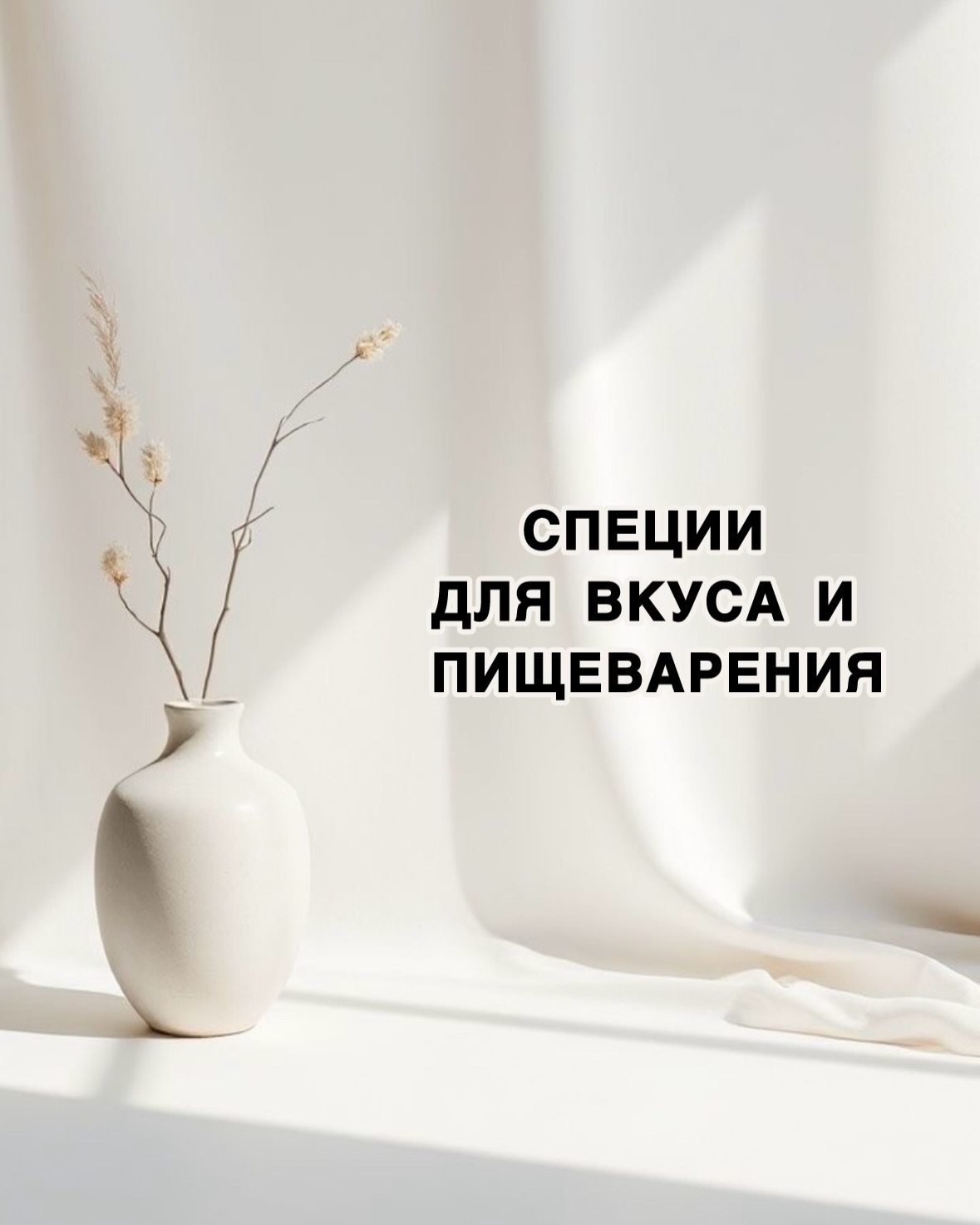 alina_nutri_heal