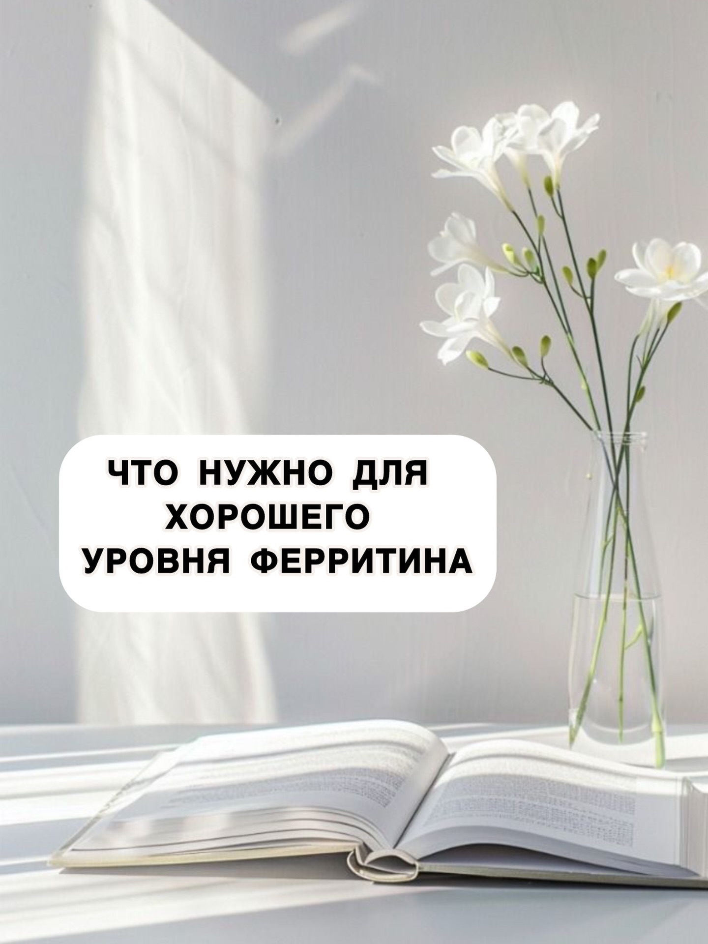 alina_nutri_heal