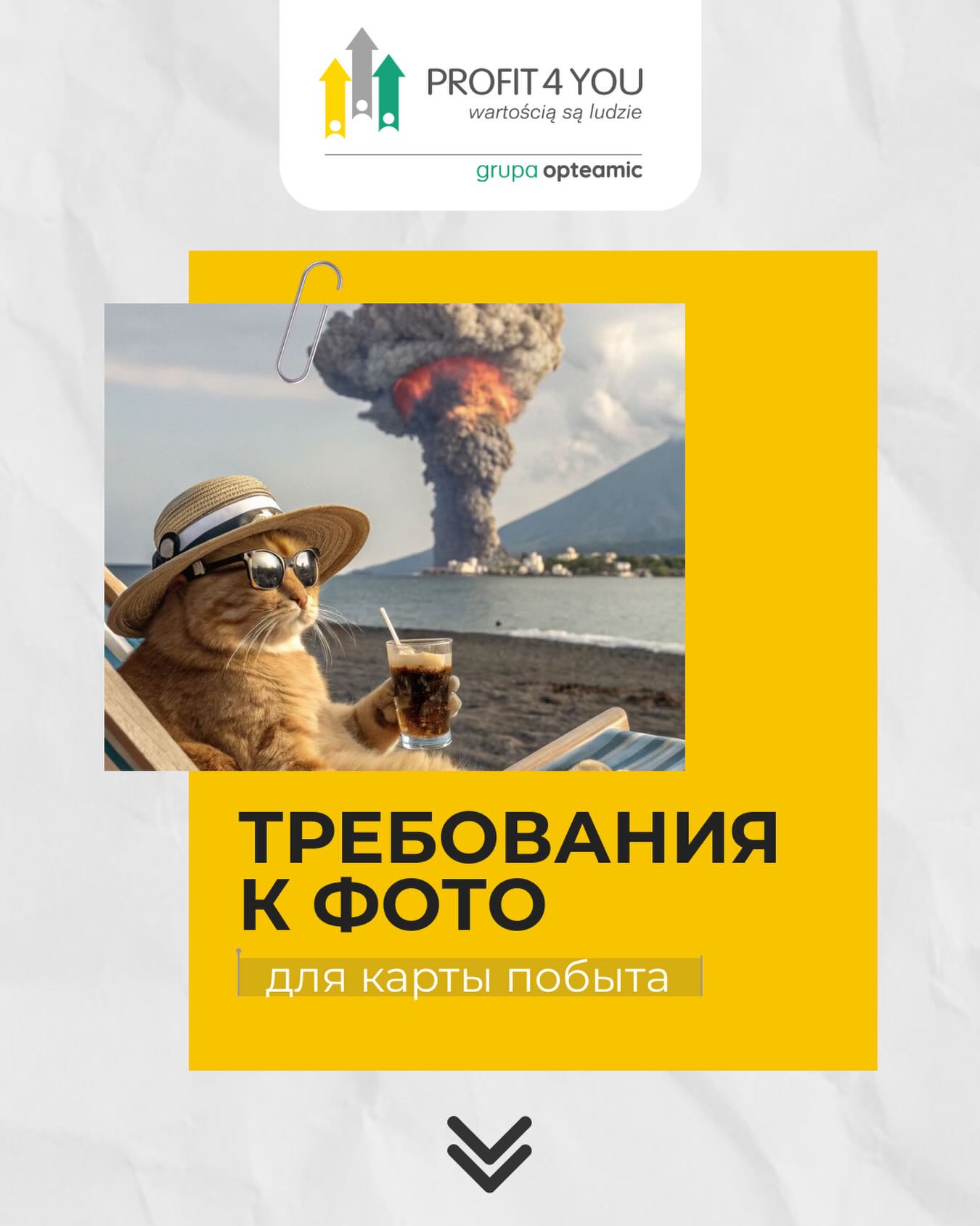 profit4you_pl