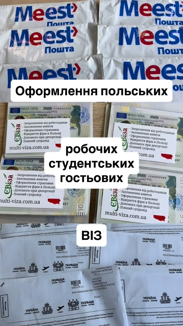 viza_pl