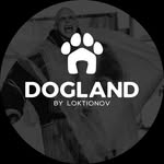 dogland.center
