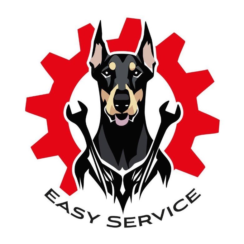 easy.auto.service