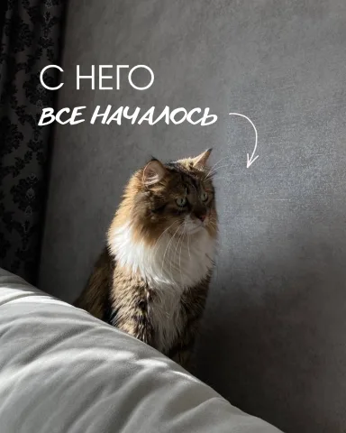 anna.petsitter.waw