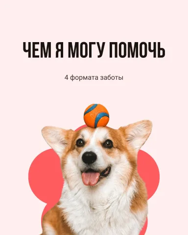 anna.petsitter.waw