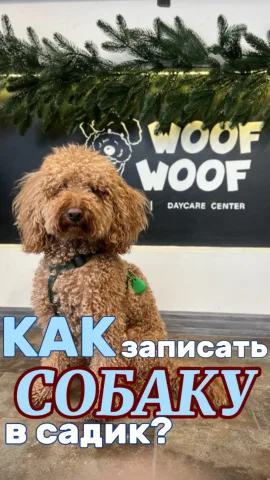 woofwoofdaycare