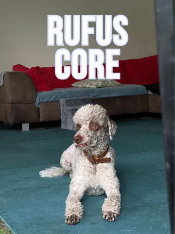 woofwoofdaycare