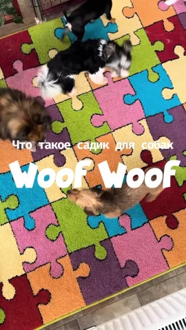 woofwoofdaycare
