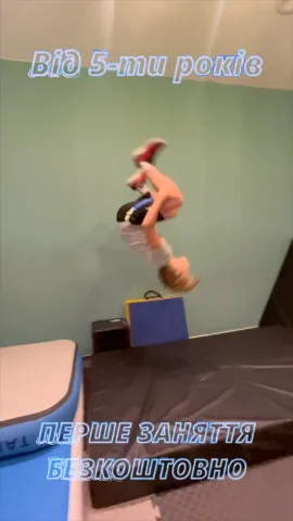 ninjaacademy_point