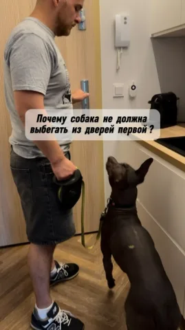 kinolog_maksim_