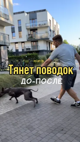 kinolog_maksim_