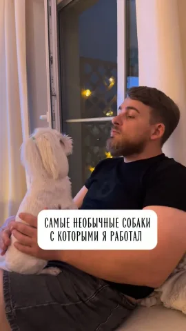 kinolog_maksim_