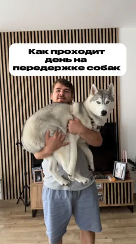 kinolog_maksim_