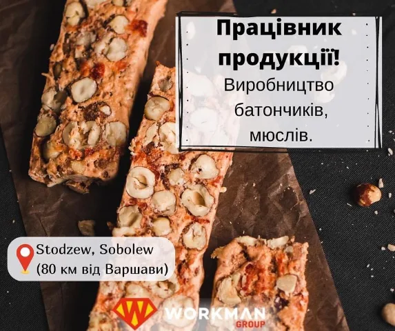 workman_praca.pl