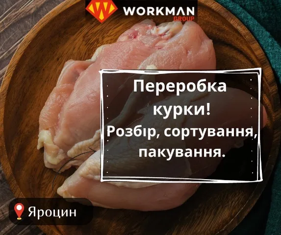 workman_praca.pl