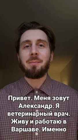aniskovet