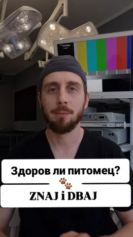 aniskovet