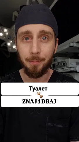 aniskovet