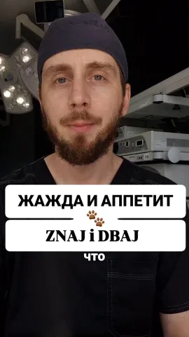 aniskovet