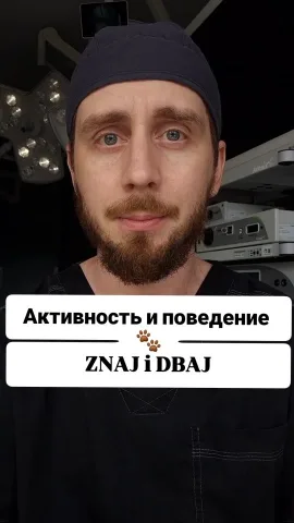aniskovet
