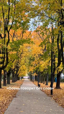govor_groom