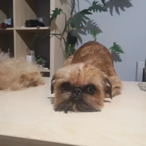 gr_olgafedorenko