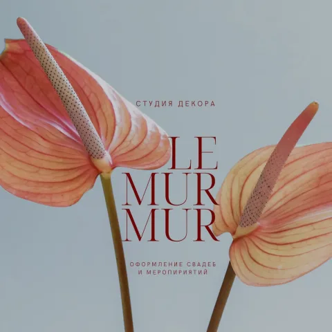 le_mur_mur