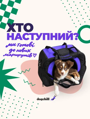 dogchill.com.ua