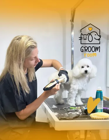 groom.room.warszawa