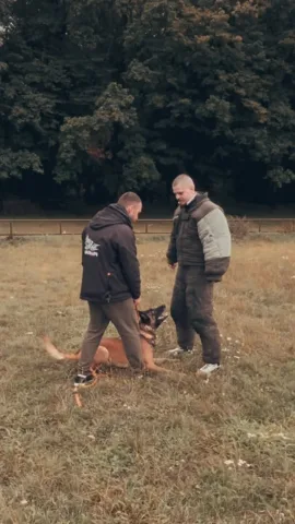 dog.trainer.warsaw