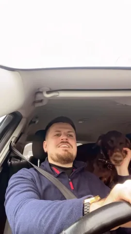 dog.trainer.warsaw