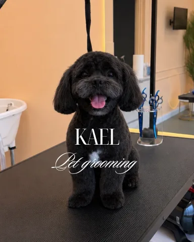 kael.grooming